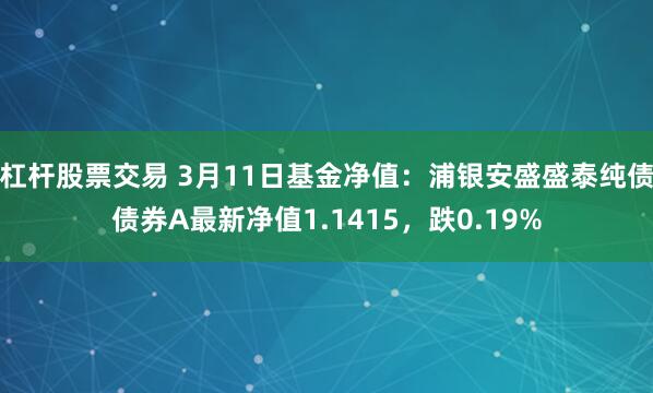 杠杆股票交易 3月11日基金净值：浦银安盛盛泰纯债债券A最新净值1.1415，跌0.19%