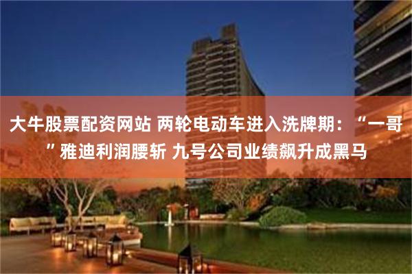 大牛股票配资网站 两轮电动车进入洗牌期：“一哥”雅迪利润腰斩 九号公司业绩飙升成黑马