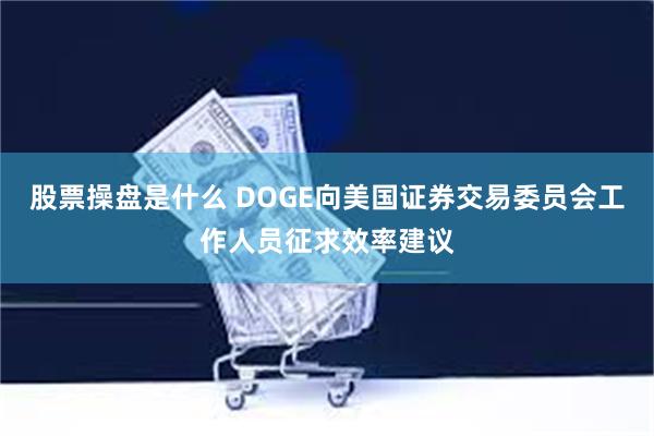 股票操盘是什么 DOGE向美国证券交易委员会工作人员征求效率建议