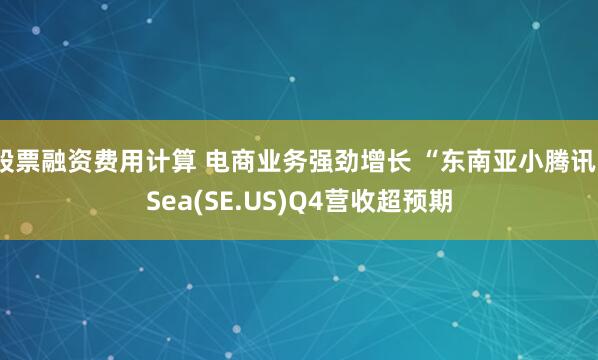 股票融资费用计算 电商业务强劲增长 “东南亚小腾讯”Sea(SE.US)Q4营收超预期