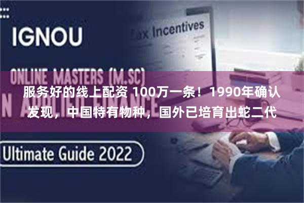 服务好的线上配资 100万一条！1990年确认发现，中国特有物种，国外已培育出蛇二代