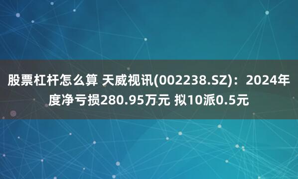 股票杠杆怎么算 天威视讯(002238.SZ)：2024年度净亏损280.95万元 拟10派0.5元