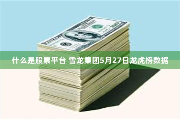什么是股票平台 雪龙集团5月27日龙虎榜数据