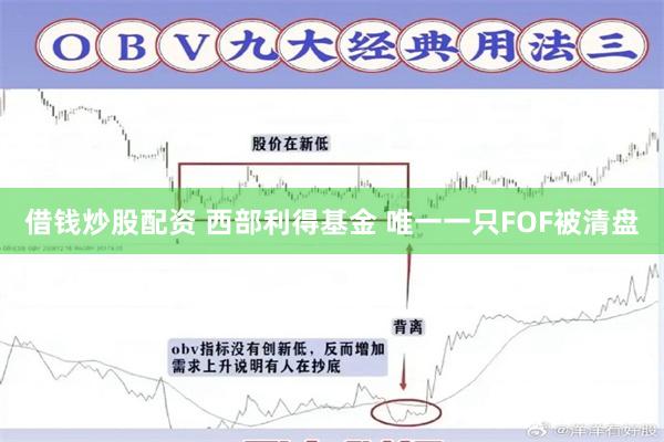 借钱炒股配资 西部利得基金 唯一一只FOF被清盘