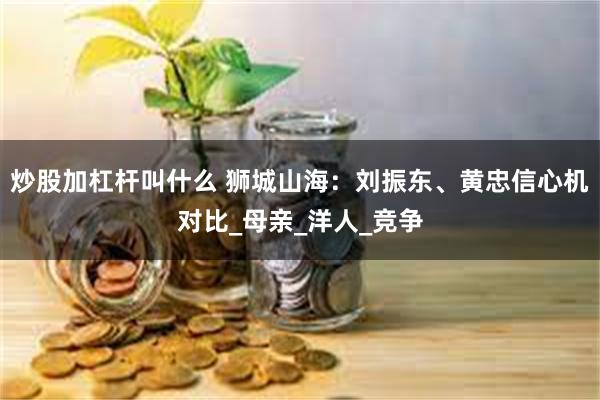 炒股加杠杆叫什么 狮城山海：刘振东、黄忠信心机对比_母亲_洋人_竞争